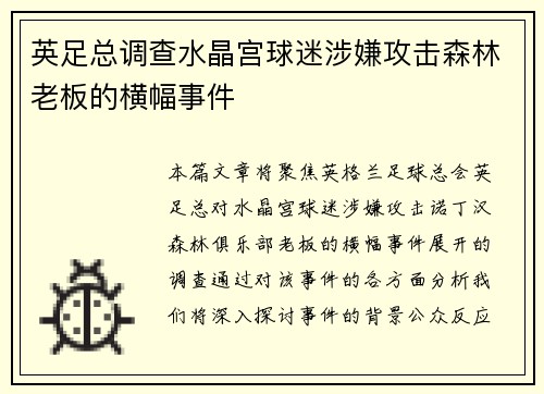 英足总调查水晶宫球迷涉嫌攻击森林老板的横幅事件